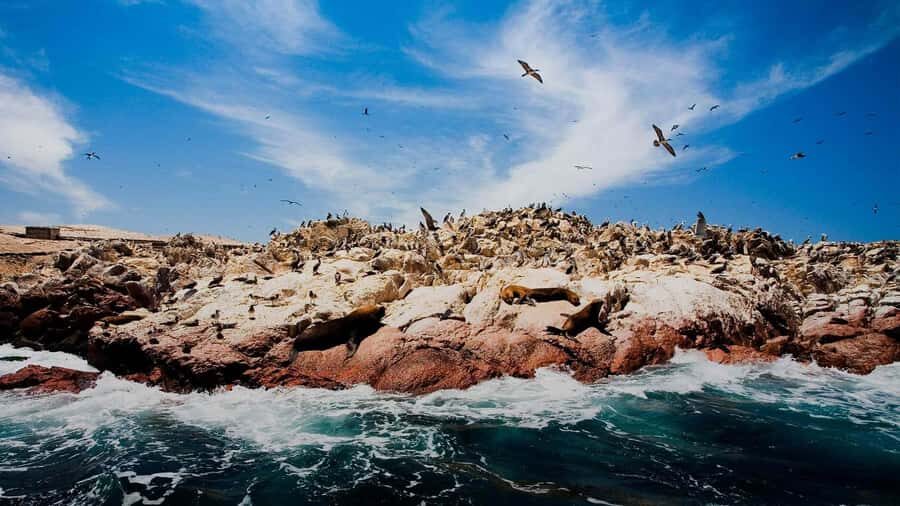 PARACAS|| Sunset trekking in the Paracas National Reserve - Key Highlights You’ll Care About