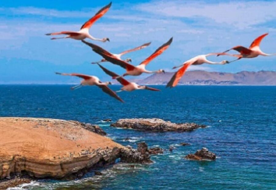 PARACAS|| Sunset trekking in the Paracas National Reserve - Logistics You Should Plan Around (Not Just the Route)