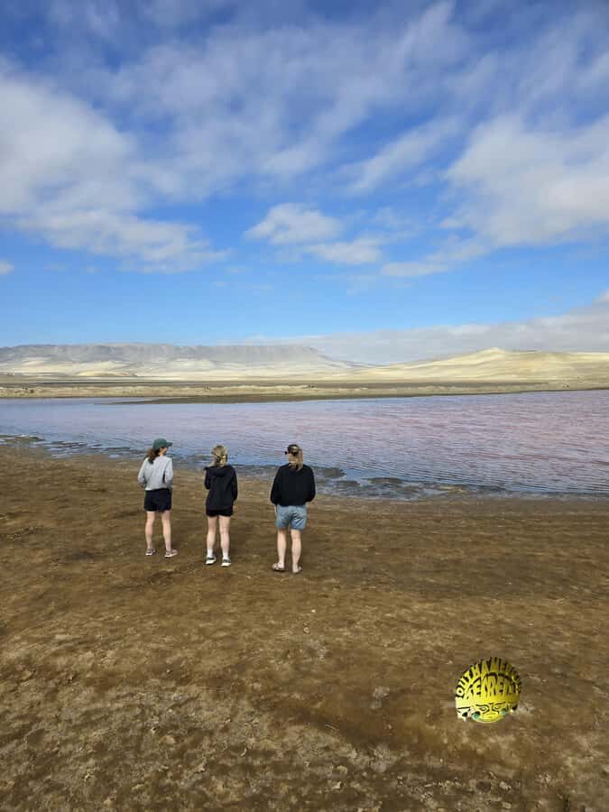 Paracas:Private Tours Paracas National Reserve all inclusive - Price and what your private tour actually includes