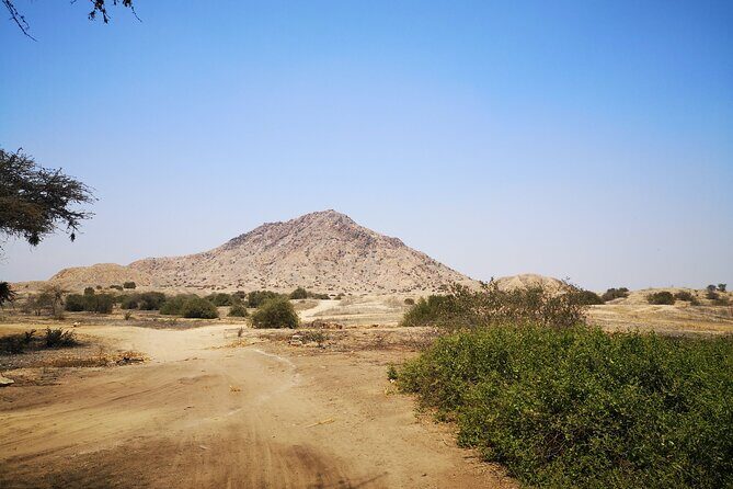Piramids of Tucume Tour, Sican Museum and Lambayeque city tour - Guide quality and the human side of the experience