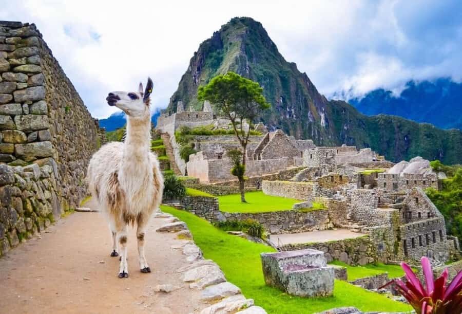 Private Guide in Machu Picchu for 3 Hours - Who this tour is best for