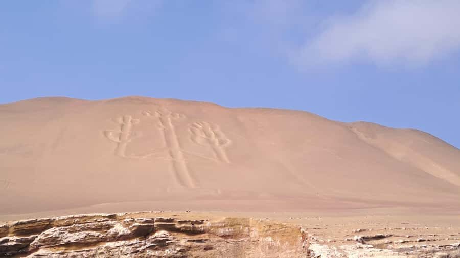 Private Tour: Ballestas Island & Huacachina Oasis, from Lima - The vineyard stop and Pisco culture: tasting with lunch (but check the details)