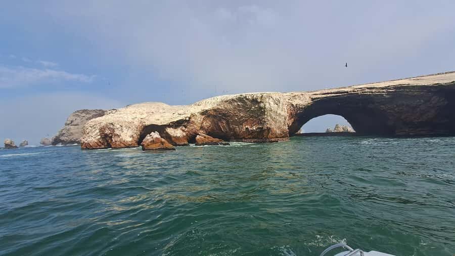 Private Tour: Ballestas Island & Huacachina Oasis, from Lima - Price and value: how $269 makes sense for the right fit