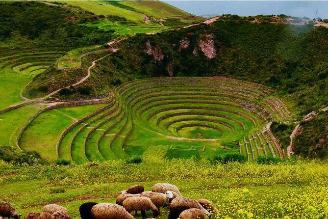 Private Tour Sacred Valley, Chinchero, Maras Moray, Ollantaytambo - Logistics you’ll feel most on a long day