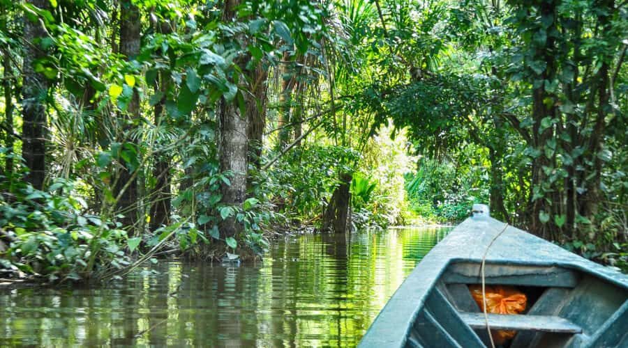 Puerto Maldonado: 2-Day Peruvian Tambopata Jungle Trip - Puerto Maldonado to Tambopata: what this trip is really about