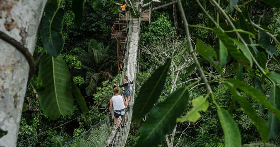 Puerto Maldonado: 2-Day Peruvian Tambopata Jungle Trip - Night at the lodge: what you can and can’t expect