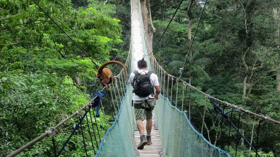 Puerto Maldonado: 2-Day Peruvian Tambopata Jungle Trip - Price and value: is $280 per person fair for this experience?