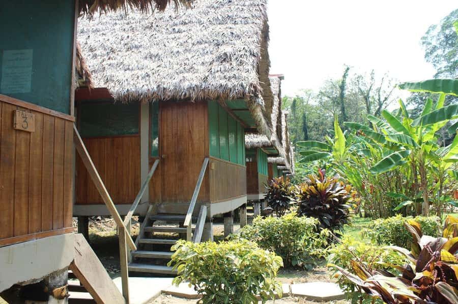 Puerto Maldonado: 2-Day Peruvian Tambopata Jungle Trip - What to bring (and what actually matters)