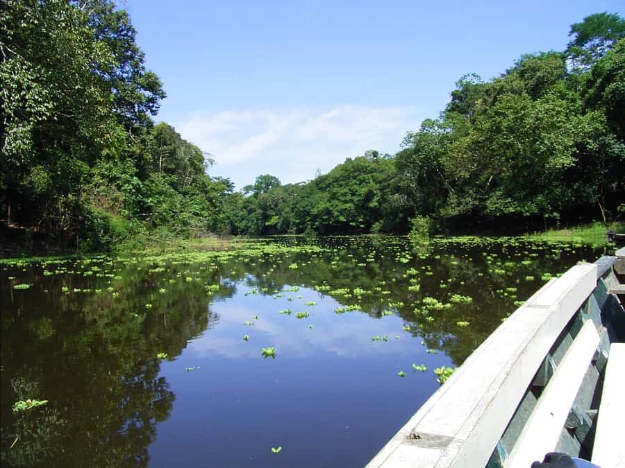 Puerto Maldonado: 2-Day Peruvian Tambopata Jungle Trip - Who this trip fits best