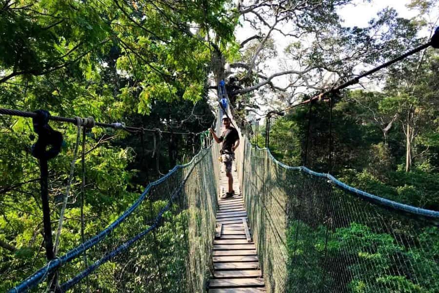 Puerto Maldonado: Jungle Adventure |Zipline + Canopy + Kayak - Key points before you go