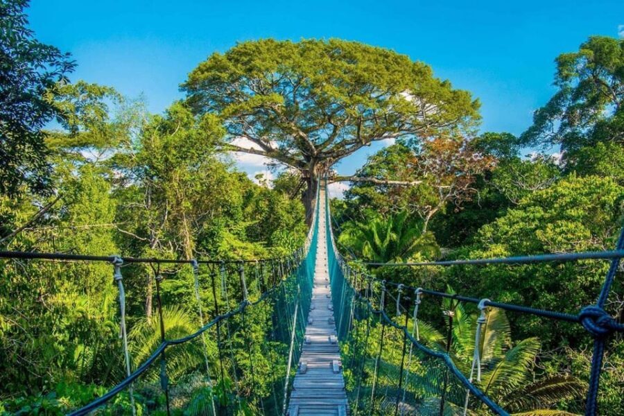 Puerto Maldonado: Jungle Adventure |Zipline + Canopy + Kayak - Safety, language, and comfort: the stuff that can make or break the day