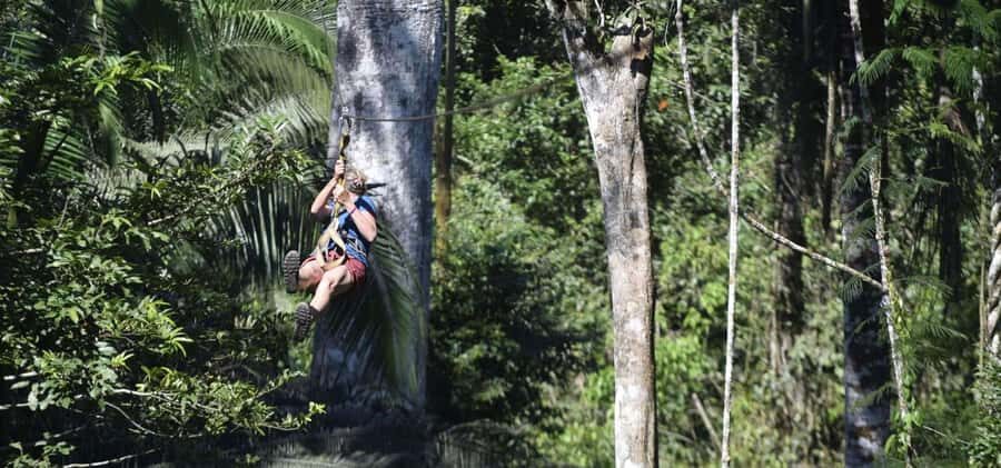Puerto Maldonado: Jungle Adventure |Zipline + Canopy + Kayak - The canopy walk: hanging bridge views and bird chances