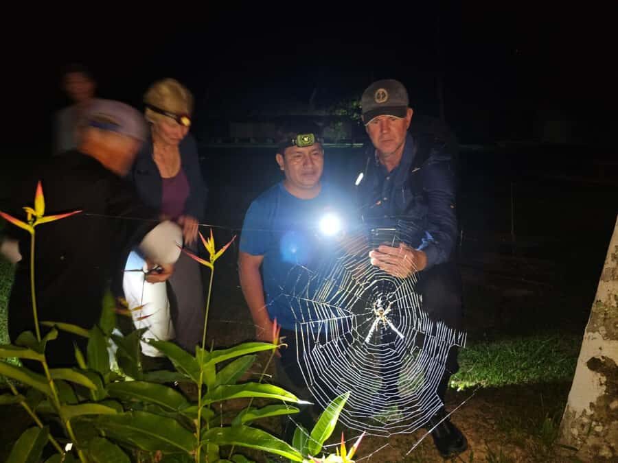 Puerto Maldonado: Jungle Night Tour with Sloths & Tarantulas - Key things to know before you go