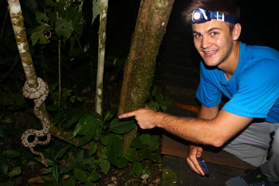 Puerto Maldonado: Jungle Night Tour with Sloths & Tarantulas - Why Tambopata looks different after dark