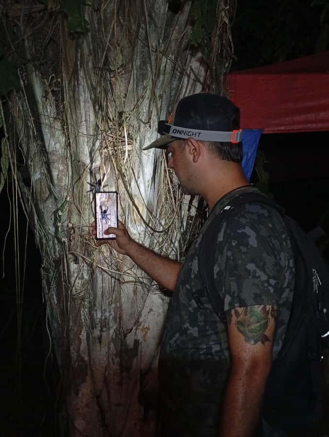 Puerto Maldonado: Jungle Night Tour with Sloths & Tarantulas - Stop 1: Hotel pickup in Puerto Maldonado