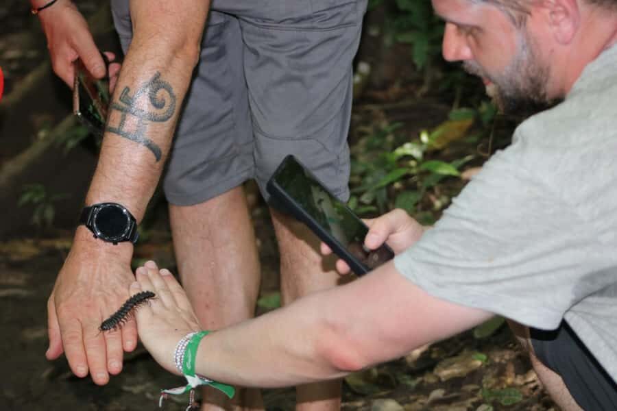 Puerto Maldonado: Jungle Night Tour with Sloths & Tarantulas - Stop 2: Tambopata National Reserve at night