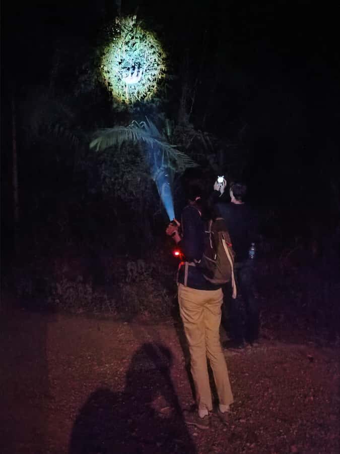 Puerto Maldonado: Jungle Night Tour with Sloths & Tarantulas - Stop 3: Back to Puerto Maldonado