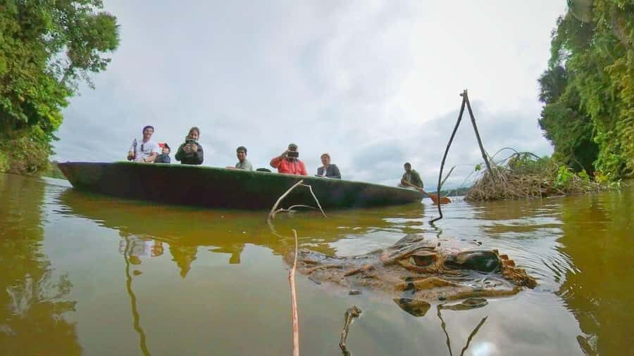 Puerto Maldonado: Lago Sandoval Day Trip with Lunch - Motorboat Ride to the Tambopata Checkpoint Port