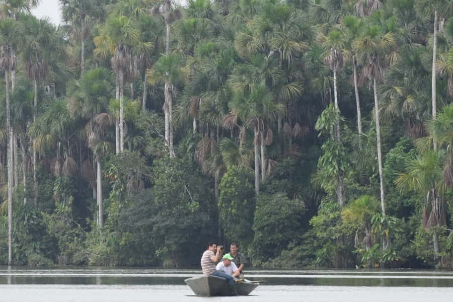 Puerto Maldonado: Sandoval Lake Full-Day Trip with Canoeing - Key things to know before you go