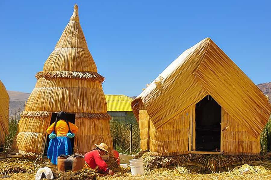 Puno: Lake Titicaca Day Tour - Key highlights worth planning around