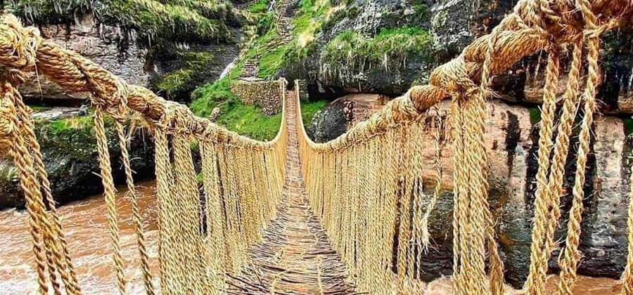 Queswachaka : Tour Inca bridge - Pomacanchi Lagoon: birdlife around the largest lake stop