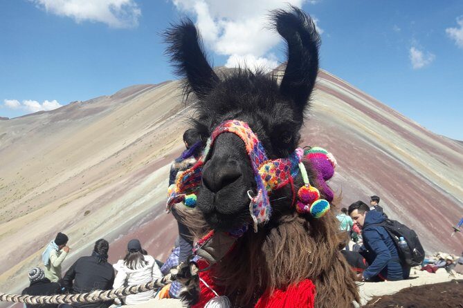 Rainbow Mountain Tour Vinicunca (Full Day) - The Hike to Vinicunca: 7 km, High Elevation, and How Guides Help