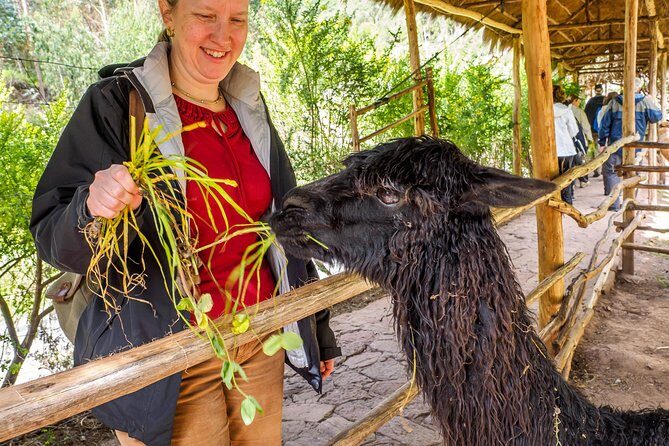 Sacred Valley and Machu Picchu Tour in 2 days with Peru Vip - Ollantaytambo as your return stop: Temple of the Sun energy, then back to Cusco