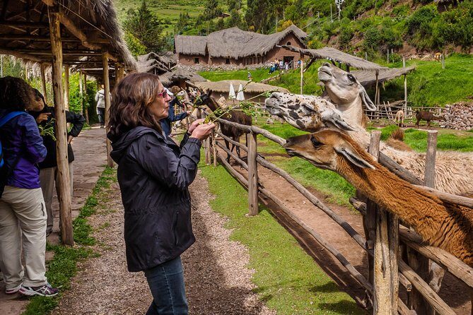 Sacred Valley and Machu Picchu Tour in 2 days with Peru Vip - Price and Value: Does $491.29 for 2 Days make sense?