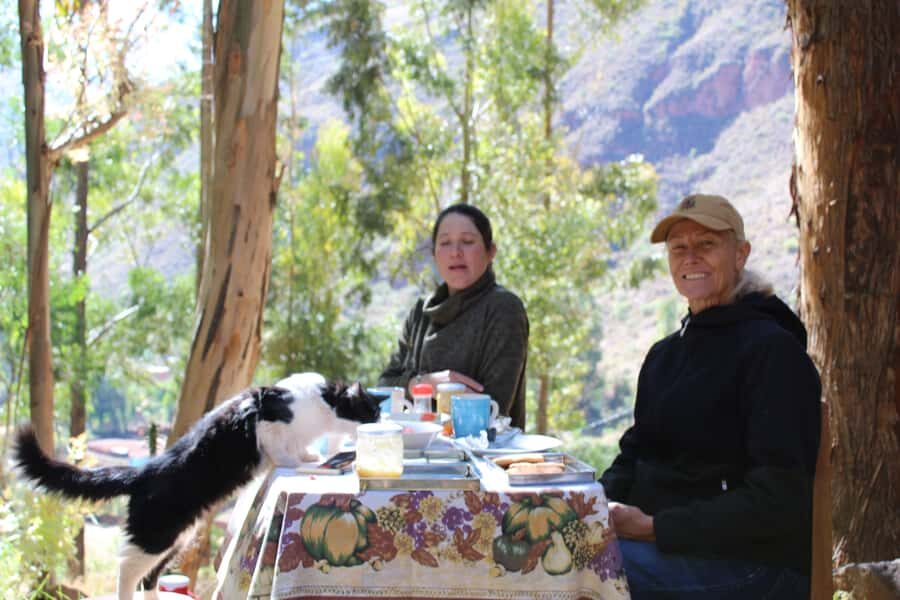 San Pedro Wachuma Ceremony in Cusco - Espiritual Tour - Key Points You’ll Care About