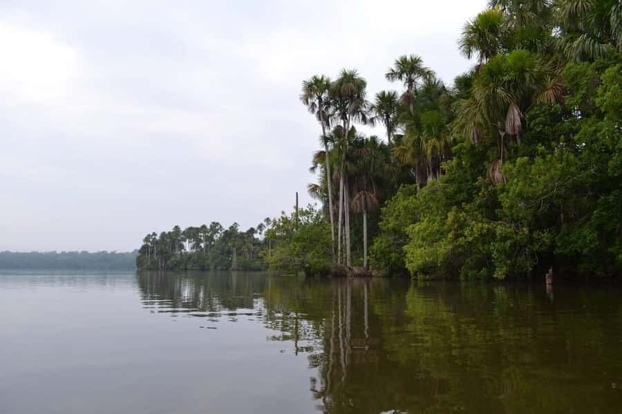 Sandoval lake 2 Days / 1 Night - Lodge night at MonteAmazonico Lodge: comfort with jungle reality