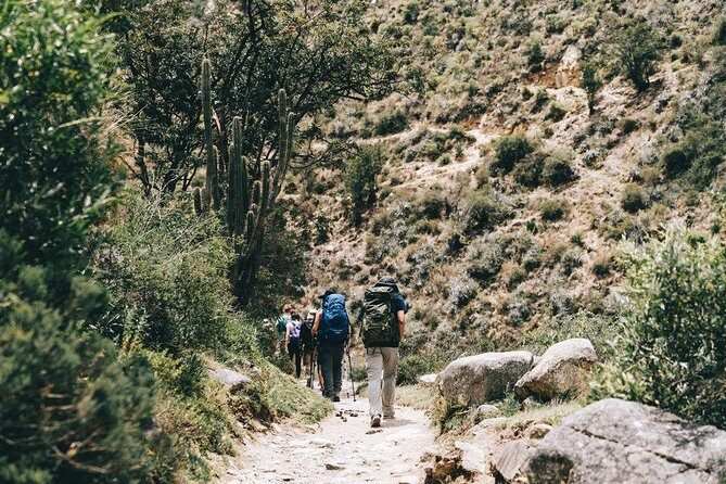 Short Inca Trail 2 Day Hike to Machu Picchu with Permits & Train - Day 2 at Machu Picchu: early bus, guided citadel tour, then train home