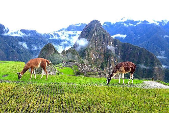Small-Group Day Tour to Machu Picchu - Why This Machu Picchu Day Trip Runs on a 5:15am Schedule