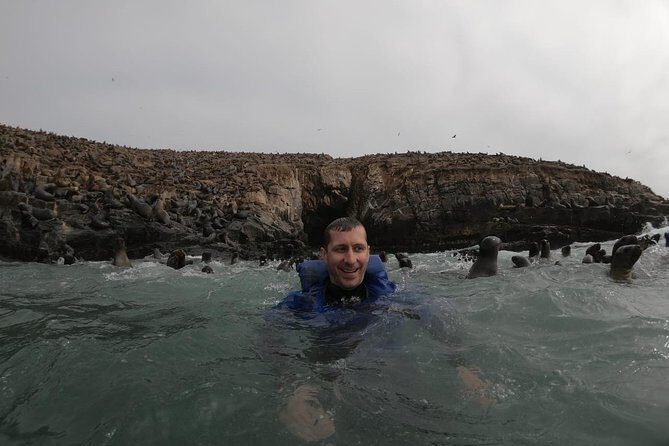 Swimming with Sea Lions in Lima - Cruising the Bay of Callao: birds, penguins, and working boats