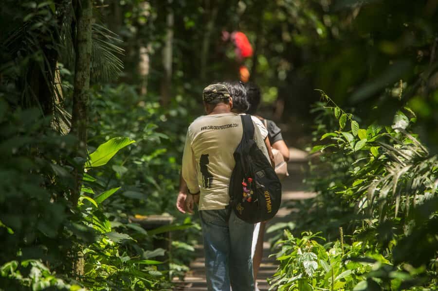 Tambopata Macaw Clay Lick 5 days/4 nights - Key points to know before you go