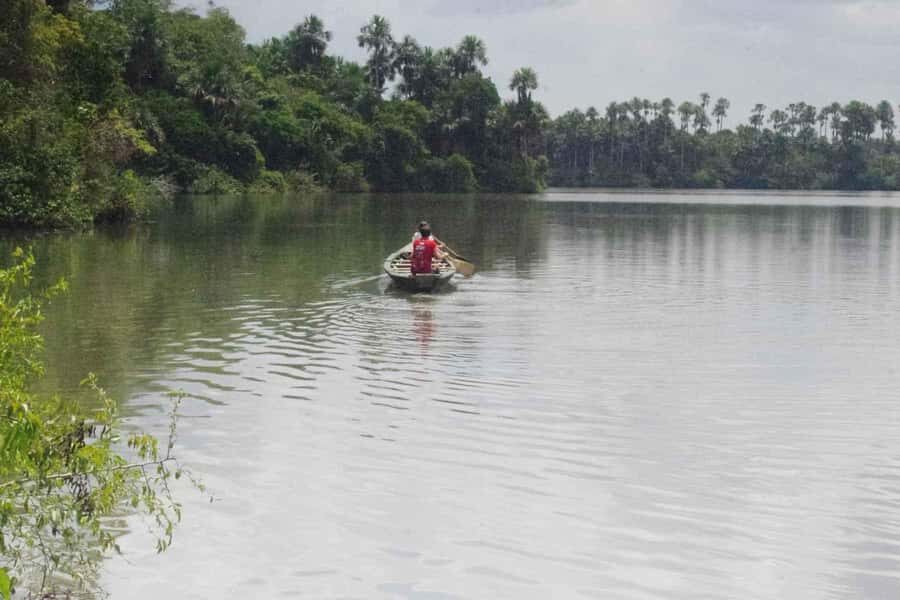 Tambopata: Multi-Day Amazon Rainforest Tour with Local Guide - Key highlights worth your attention