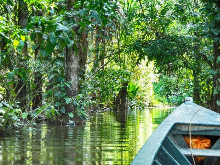 Tambopata: Multi-Day Amazon Rainforest Tour with Local Guide - Price and value: does $387 make sense?