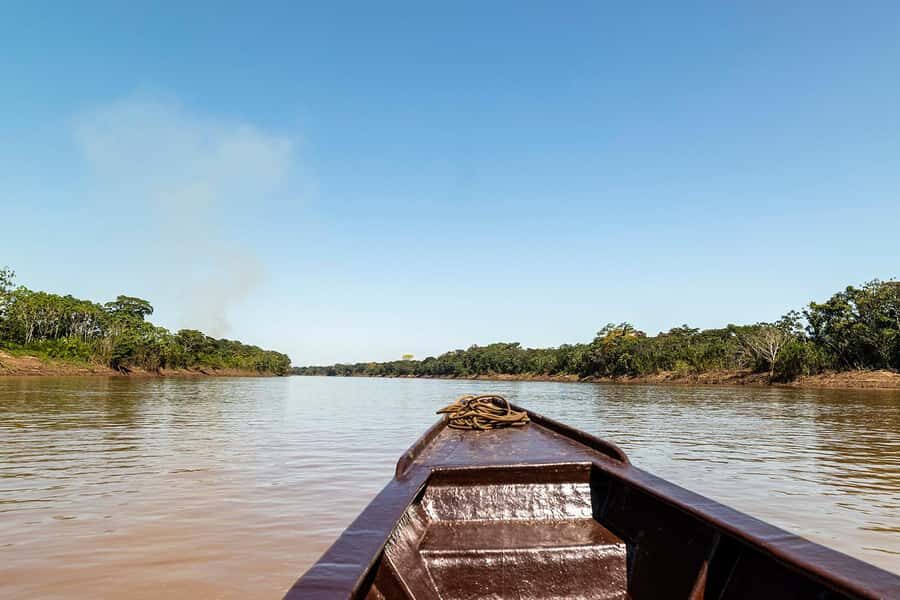 Tambopata: Multi-Day Amazon Rainforest Tour with Local Guide - Wildlife expectations: great odds, still not a guarantee