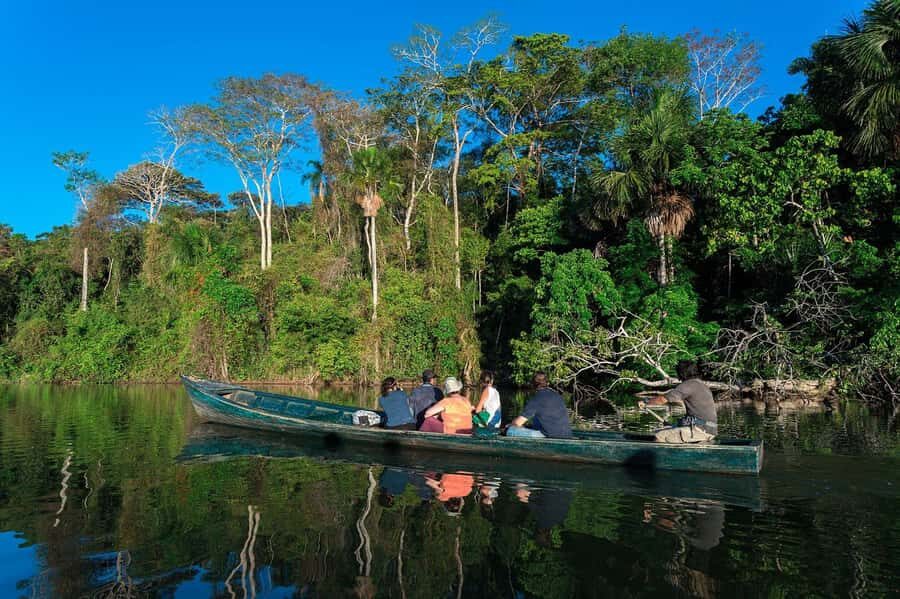 Tambopata National Reserve Tour 3 Days - Day 1: Canopy walk, zipline, kayaking, and Monkey Island