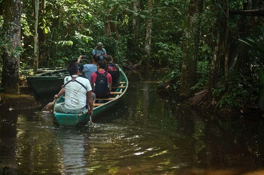 Tambopata National Reserve Tour 3 Days - Meals, lodge comfort, and the downtime question