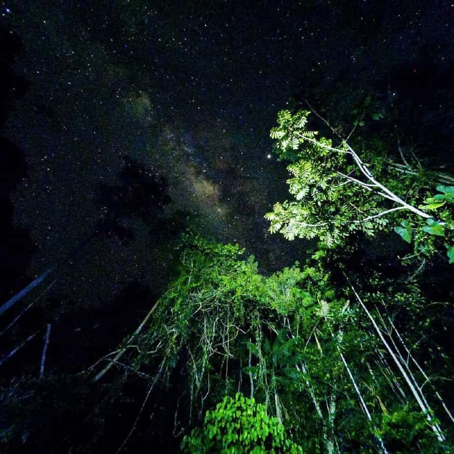 Tambopata Rainforest Night Walk & River Exploration - What to Bring (So Night Doesn’t Feel Miserable)
