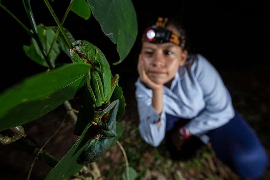 Tambopata Rainforest Night Walk & River Exploration - The Jungle Night Walk: How You Actually Find Nocturnal Wildlife