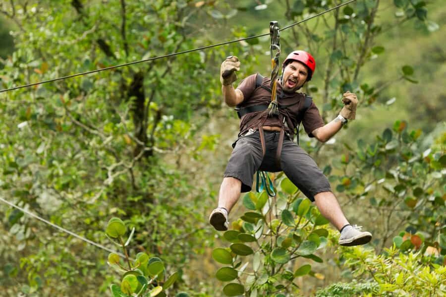 Tambopata: Zipline Adventure & Kayak to Monkey Island - Monkey Island: capuchin monkey encounters up close