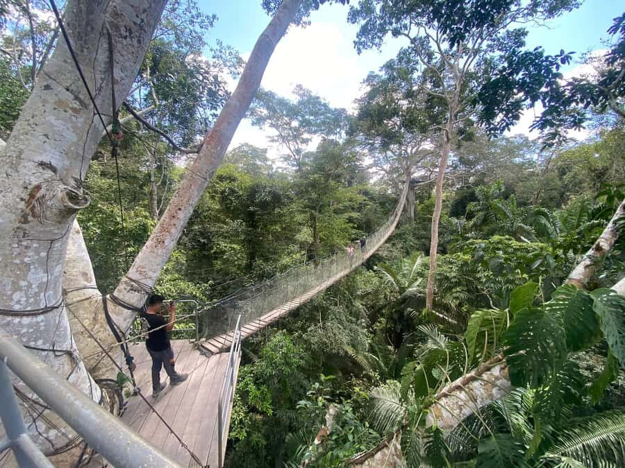 Tambopata: Zipline Adventure & Kayak to Monkey Island - Group timing and language: plan for real-world jungle logistics
