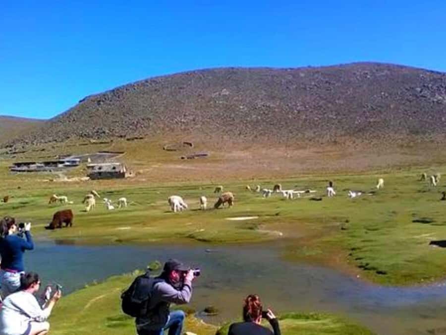 Tour Fullday Colca Canyon with Breakfast and Typical Lunch - Chivay lunch: buffet comfort after a long morning