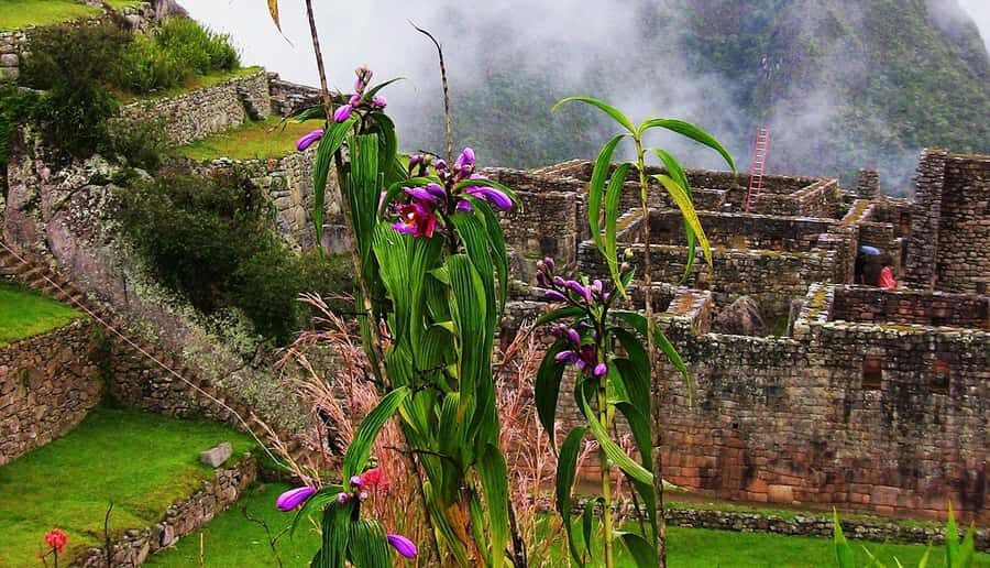 Tour Machu Picchu + Mountain of Huayna Picchu 2 days - How This 2-Day Route Works From Cusco to Aguas Calientes