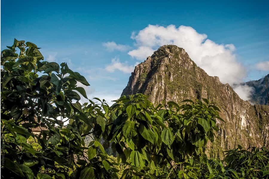 Tour Machu Picchu + Mountain of Huayna Picchu 2 days - Who This Tour Fits Best (and Who Should Pass)