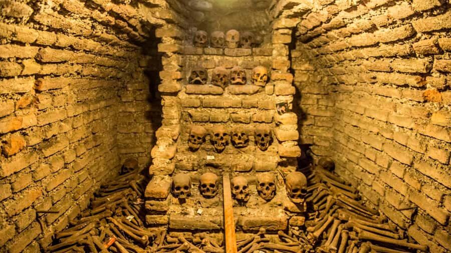 Tour of Lima with a visit to the catacombs of San Francisco. - Olivaos forest and the financial center: the everyday Lima stops