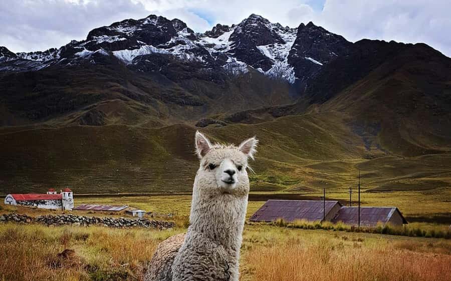 TRIP FROM PUNO TO CUSCO WITH THE ROUTE OF THE SUN - Route of the Sun: why this drive feels better than a straight transfer