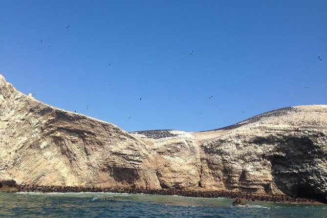 Ultimate Comfort: Lima to Huacachina, Ballestas and Vineyard - Huacachina Oasis: Photos, Lunch, and Desert Fun on Your Schedule