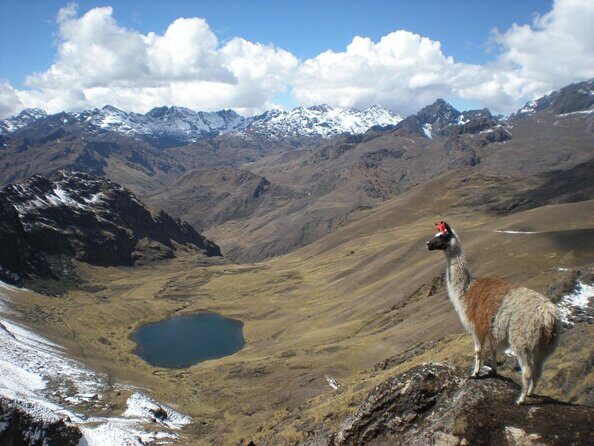 Ultimate Lares Trek & Inca Trail 5 days - Key things that make this trek different